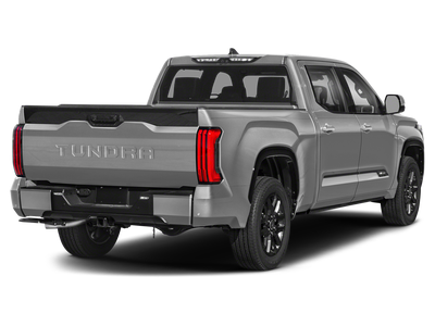 2023 Toyota TUNDRA 4X4 Platinum