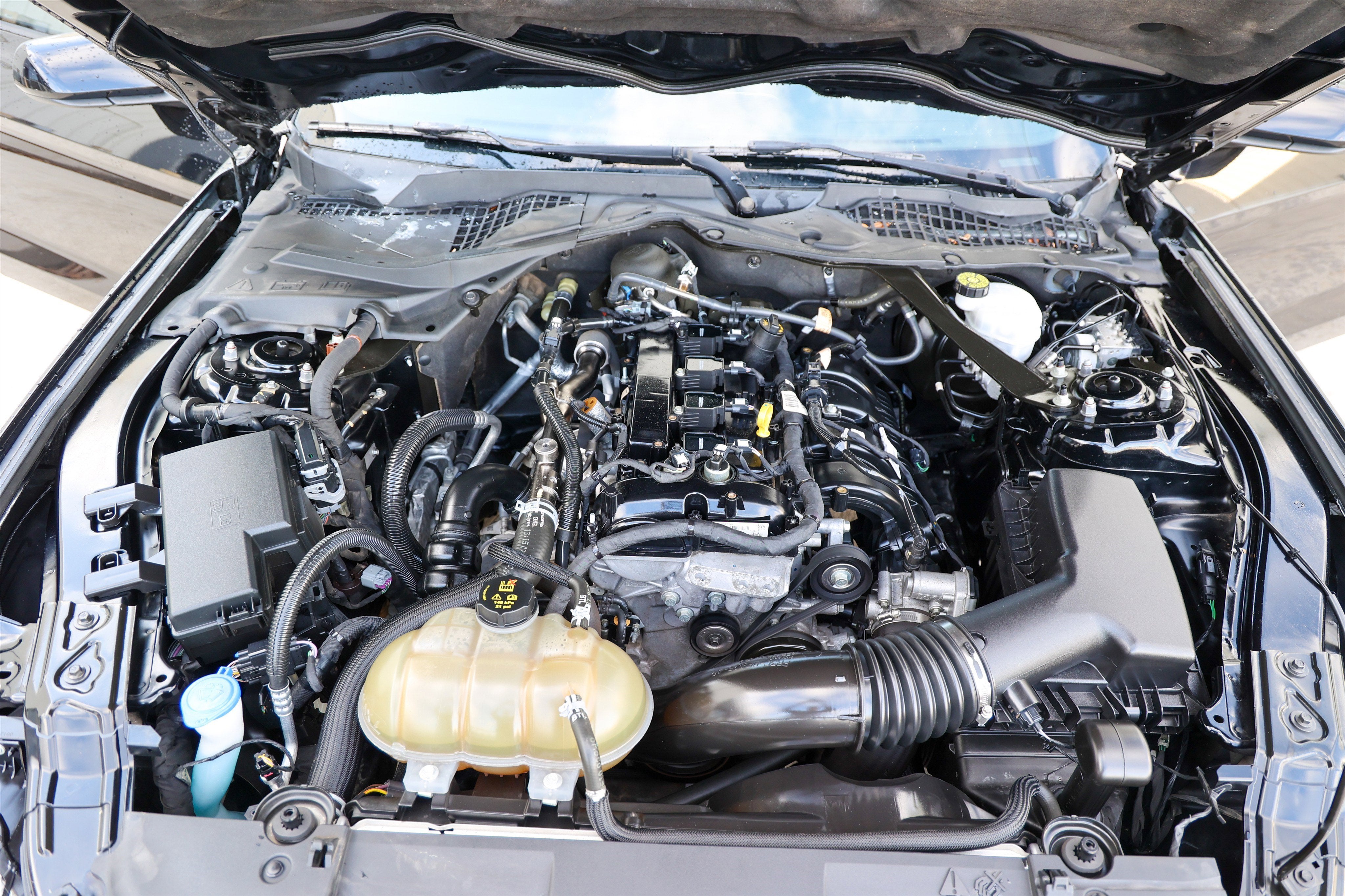 2022 Ford Mustang EcoBoost Premium