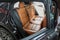 2020 Cadillac XT4 FWD Sport