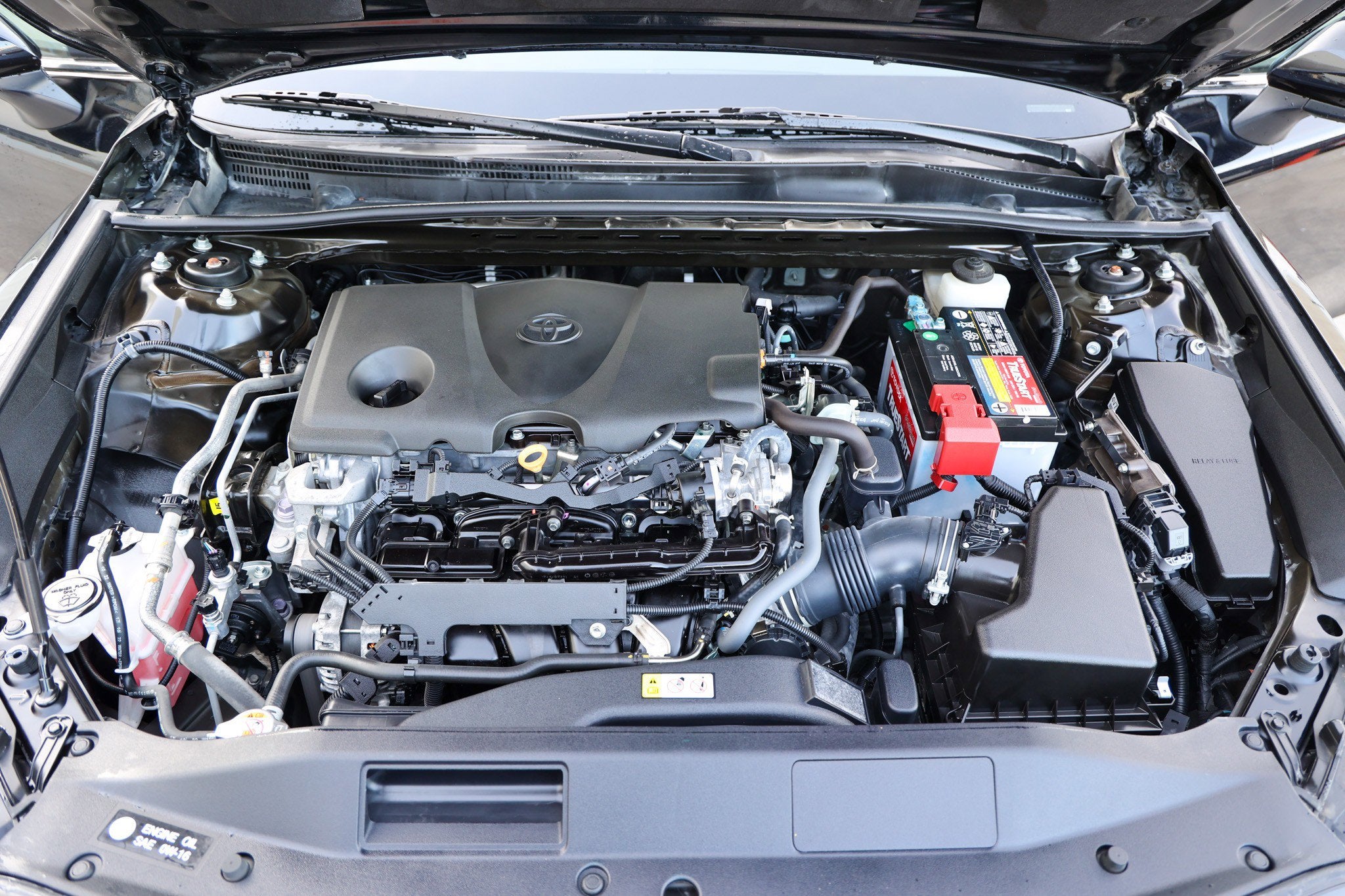 2023 Toyota CAMRY LE