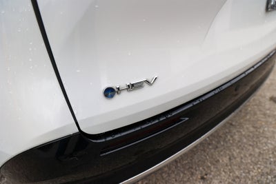 2025 Toyota SIENNA PLATINUM Platinum