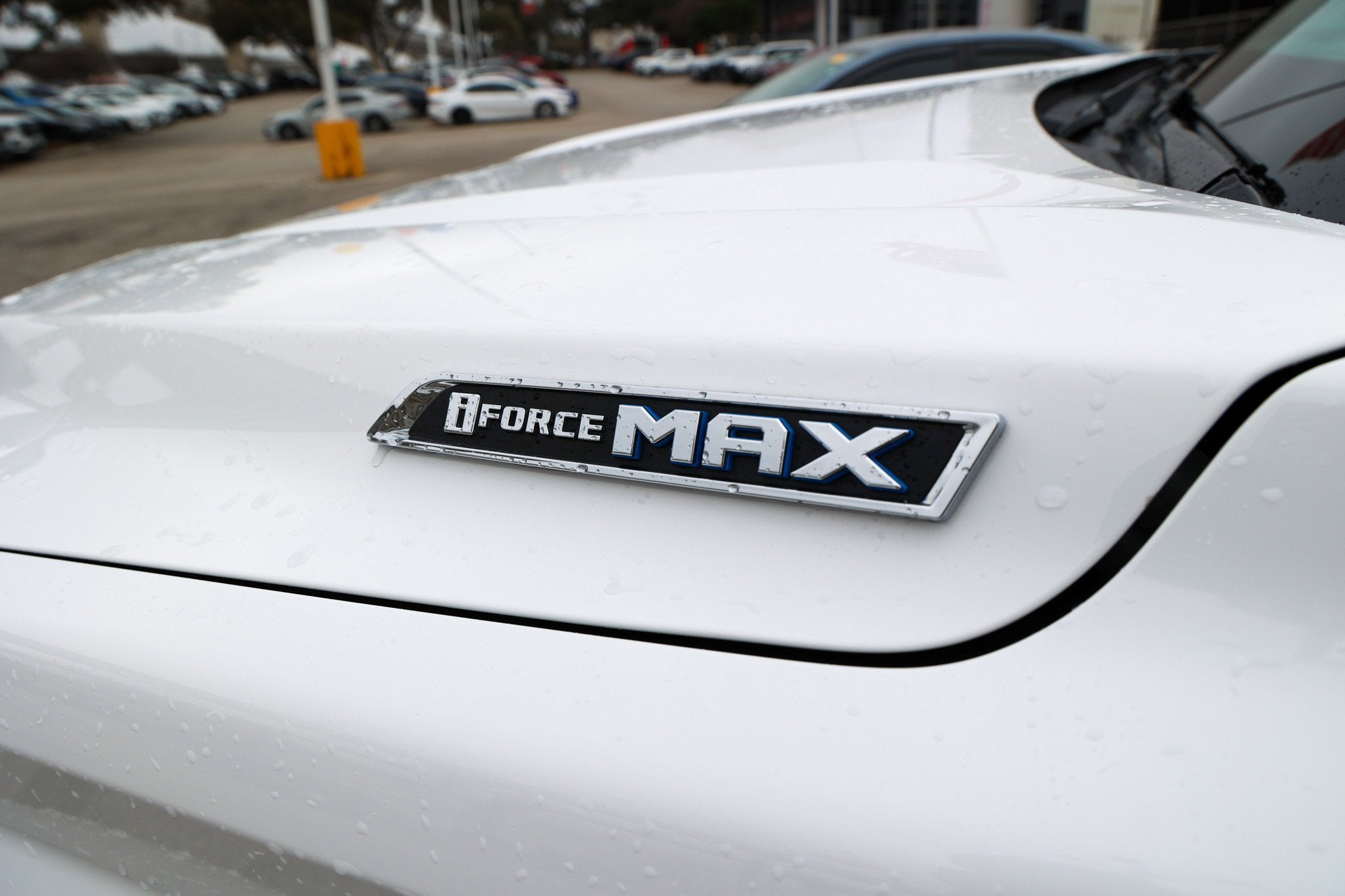 2024 Toyota SEQUOIA 4WD Limited