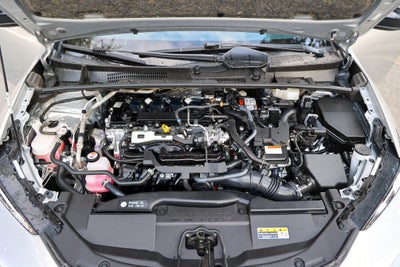 2025 Toyota Prius XLE
