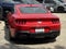 2024 Ford Mustang Base