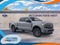 2026 Ford Super Duty F-250 SRW F-250® Platinum®