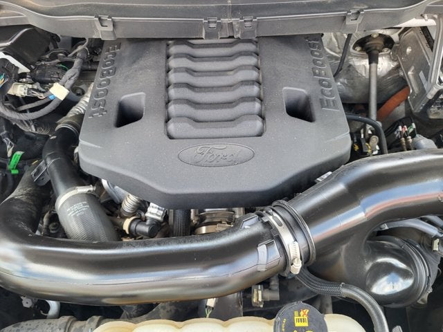 2023 Ford F-150 Tremor®