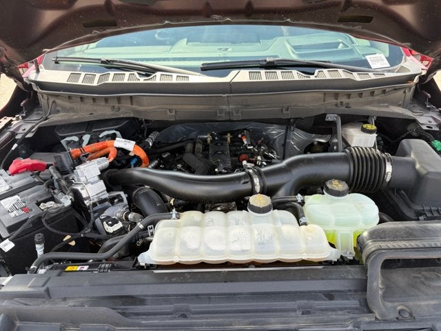 2024 Ford F-150 King Ranch PowerBoost