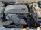 2014 Buick Regal 4DR SDN TURBO FWD