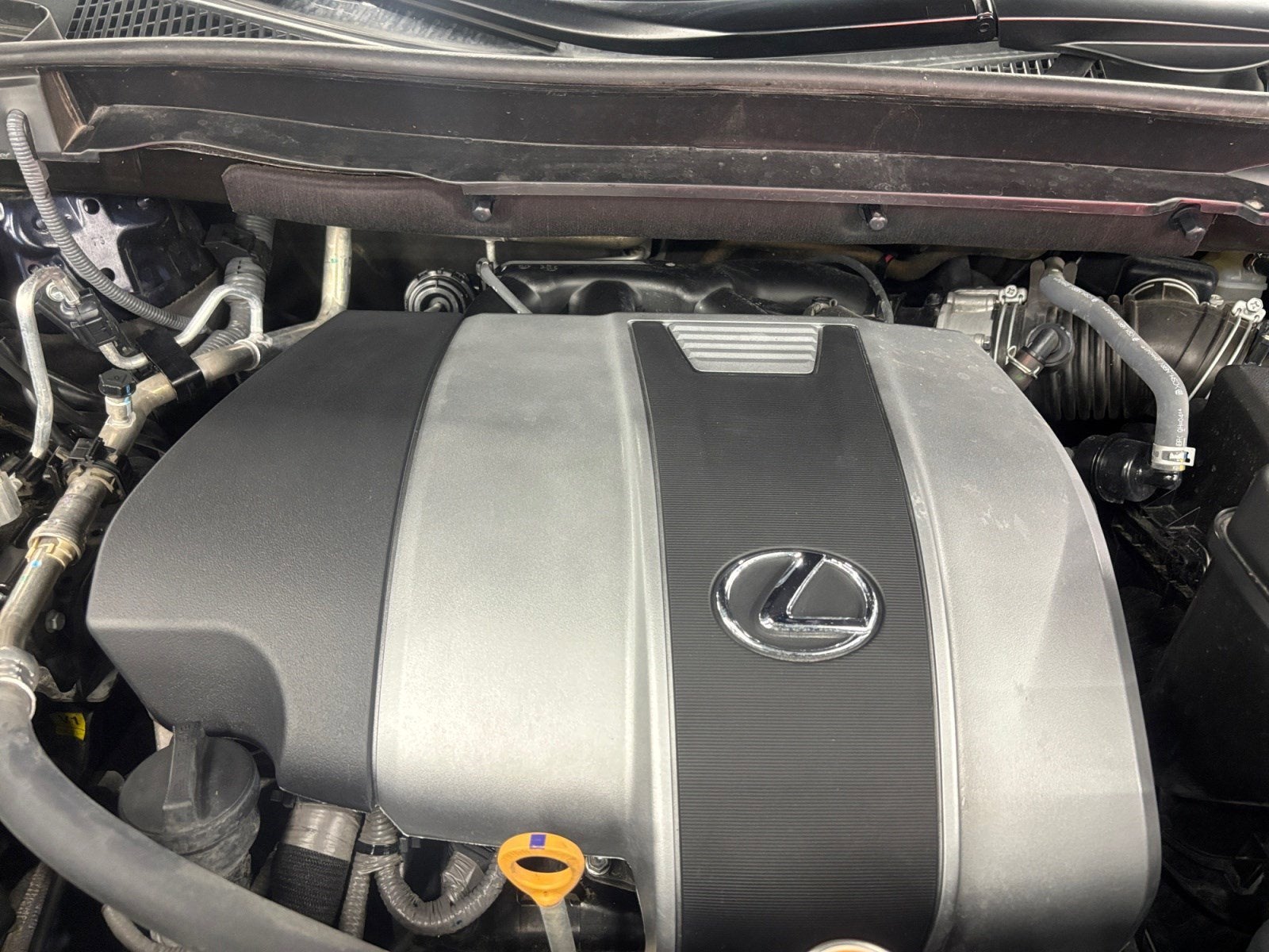 2020 Lexus RX 350