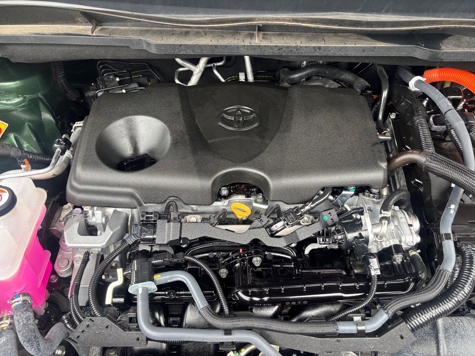 2025 Toyota Sienna Woodland Edition