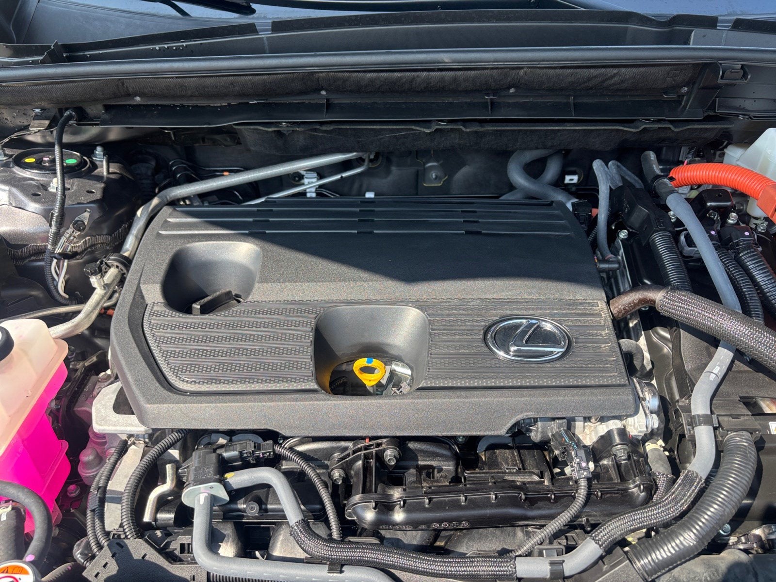 2024 Lexus NX 350h Premium