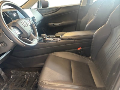 2024 Lexus NX 350h Premium