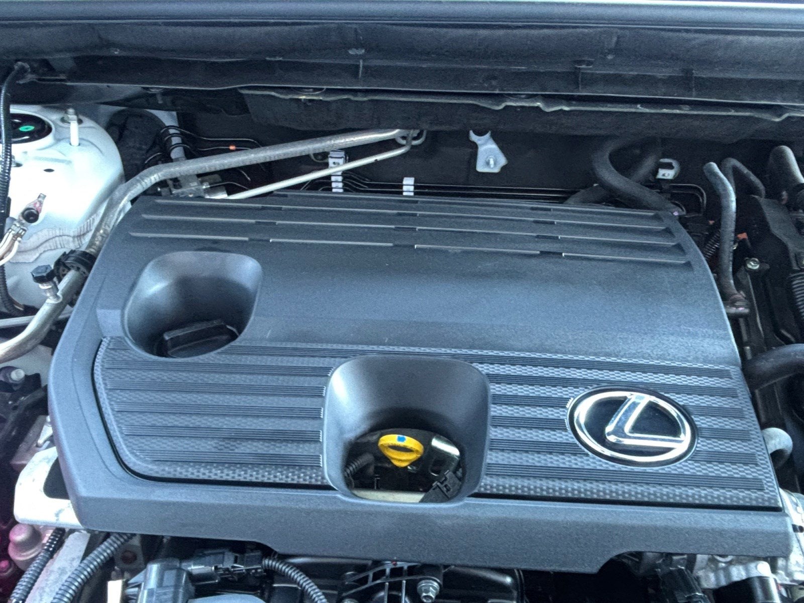 2024 Lexus NX NX 350h Luxury